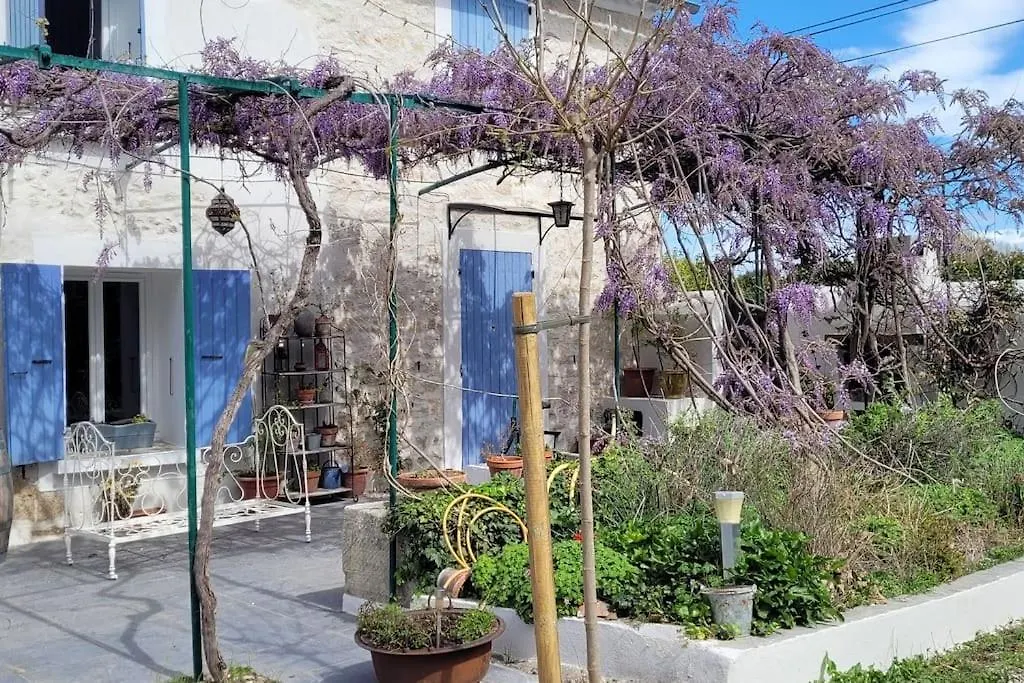Apartment Location Appartement Dans Mas Provencal Monteux