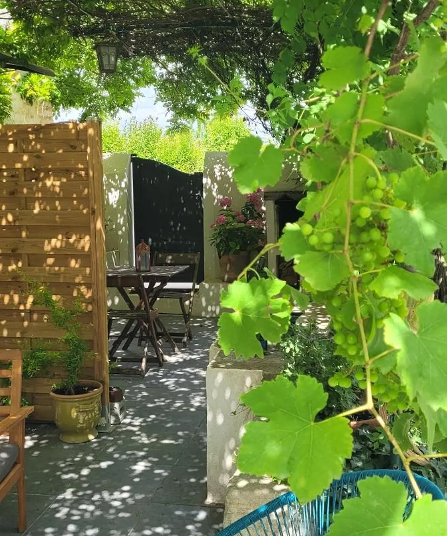 Location Appartement Dans Mas Provencal Monteux France